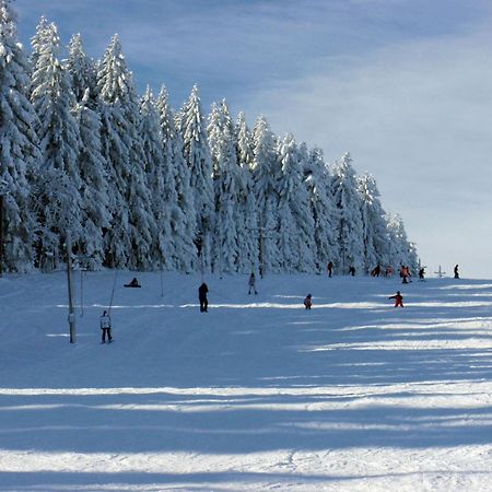 Penzion U Studeneho Potoka Nove Hute Buitenkant foto