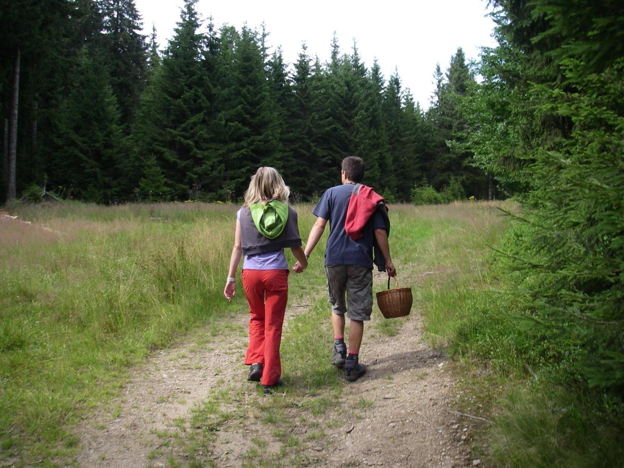 Penzion U Studeneho Potoka Nove Hute Buitenkant foto